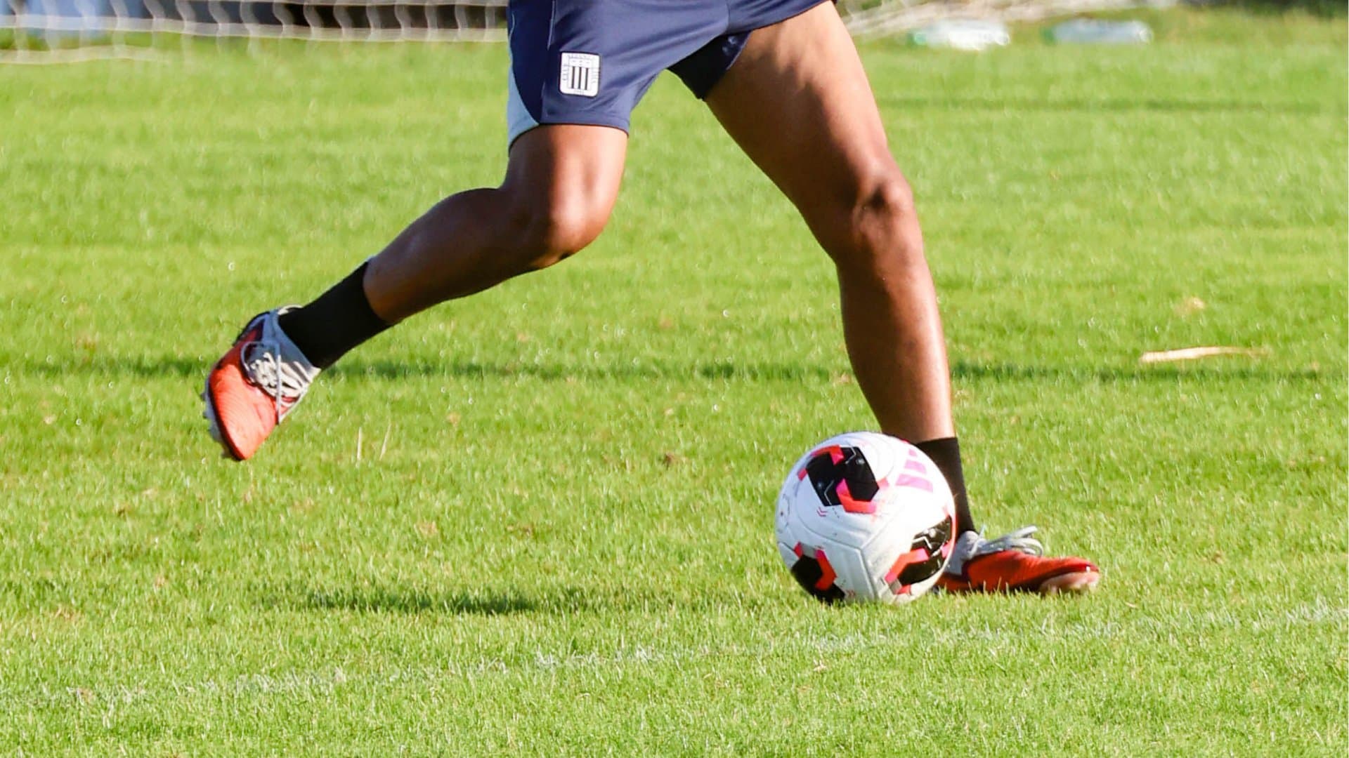 Vista lateral de la cancha de césped natural
