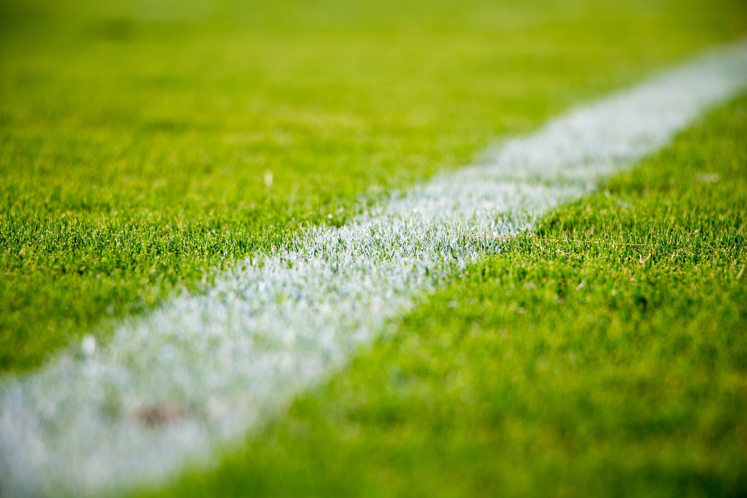 Cancha de fútbol del complejo vista desde la tribuna